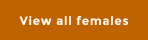 View all females