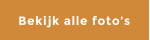 Bekijk alle fotos