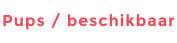 Pups / beschikbaar